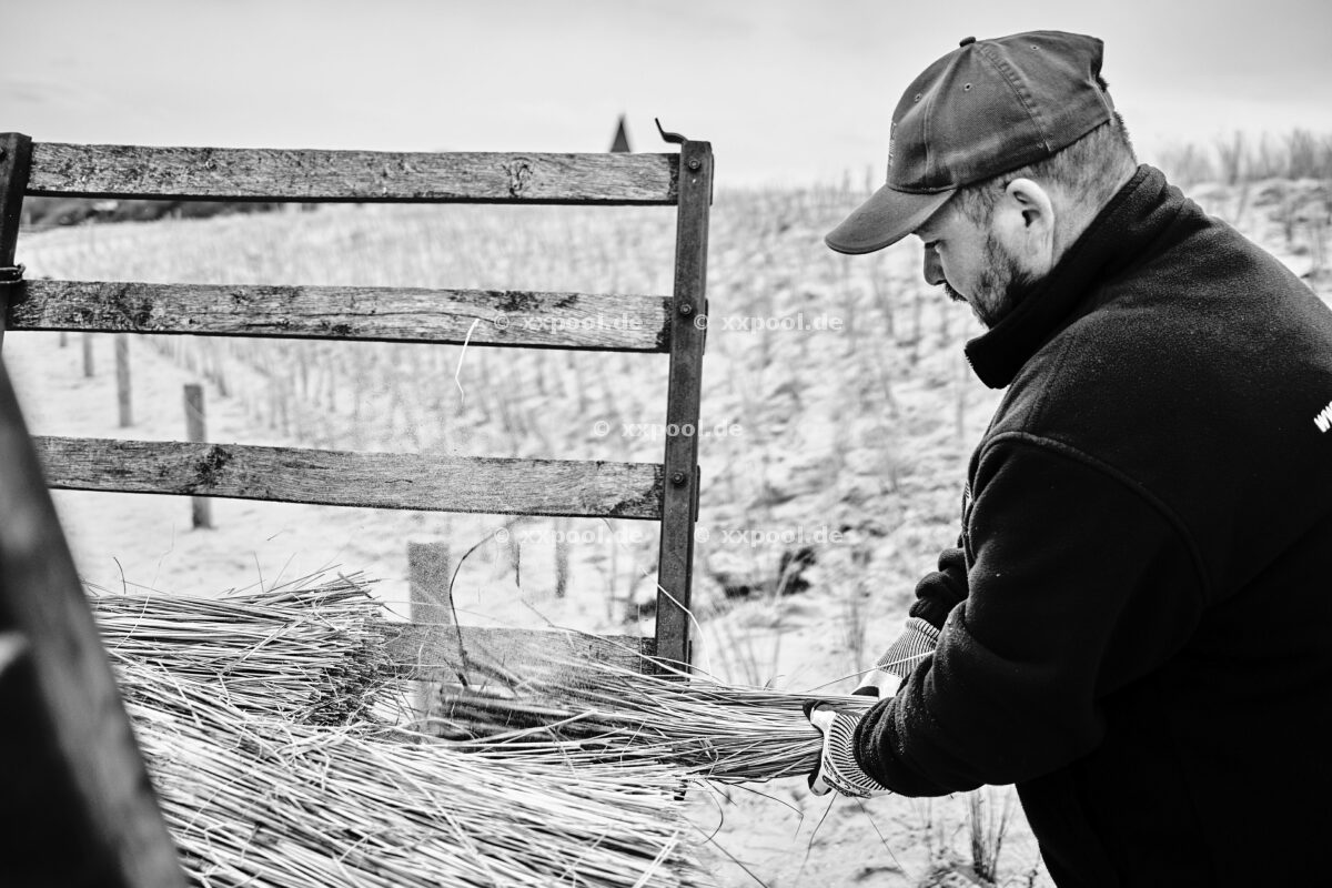 Erneuerung einer Düne