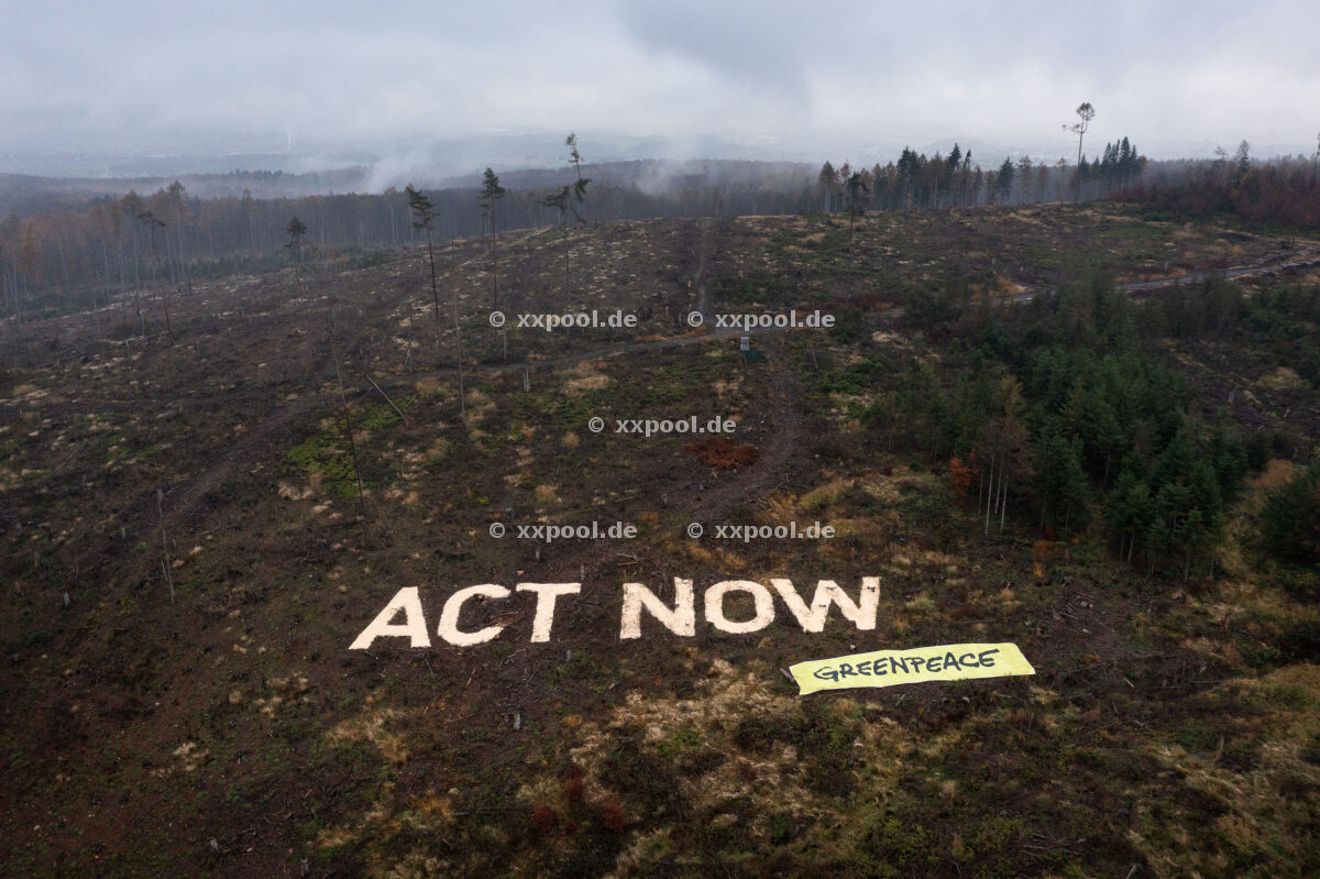 Greenpeace action on forestry
