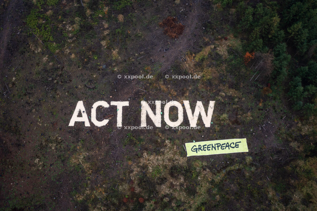 Greenpeace action on forestry